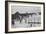 People Leaving Buddhist Church, Winter-Ansel Adams-Framed Art Print