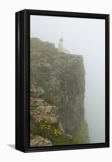 People on the cliff in morning mist, Simien Mountain, Ethiopia-Keren Su-Framed Premier Image Canvas