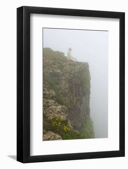 People on the cliff in morning mist, Simien Mountain, Ethiopia-Keren Su-Framed Photographic Print