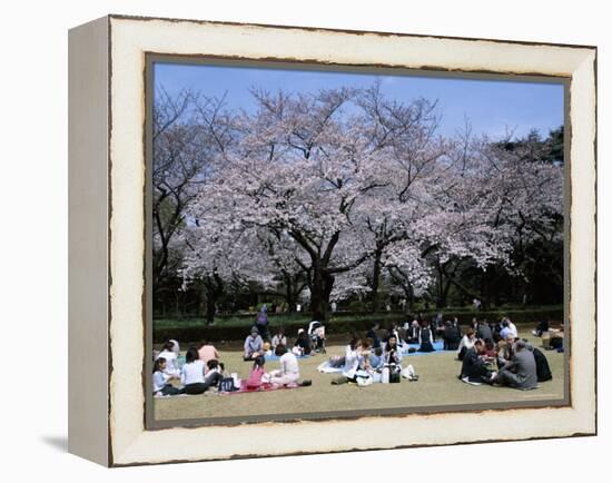 People Partying Under Cherry Blossoms, Shinjuku Park, Shinjuku, Tokyo, Honshu, Japan-null-Framed Premier Image Canvas