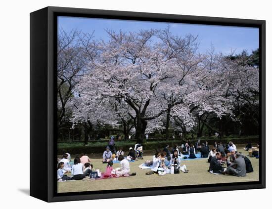 People Partying Under Cherry Blossoms, Shinjuku Park, Shinjuku, Tokyo, Honshu, Japan-null-Framed Premier Image Canvas