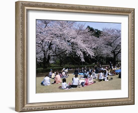 People Partying Under Cherry Blossoms, Shinjuku Park, Shinjuku, Tokyo, Honshu, Japan-null-Framed Photographic Print