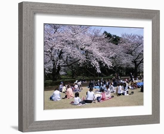 People Partying Under Cherry Blossoms, Shinjuku Park, Shinjuku, Tokyo, Honshu, Japan-null-Framed Photographic Print