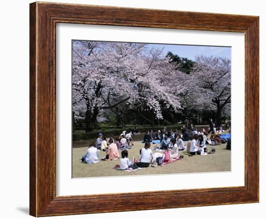 People Partying Under Cherry Blossoms, Shinjuku Park, Shinjuku, Tokyo, Honshu, Japan-null-Framed Photographic Print