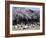 People Partying Under Cherry Blossoms, Shinjuku Park, Shinjuku, Tokyo, Honshu, Japan-null-Framed Photographic Print