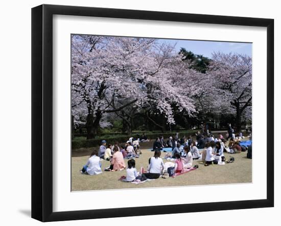 People Partying Under Cherry Blossoms, Shinjuku Park, Shinjuku, Tokyo, Honshu, Japan-null-Framed Photographic Print
