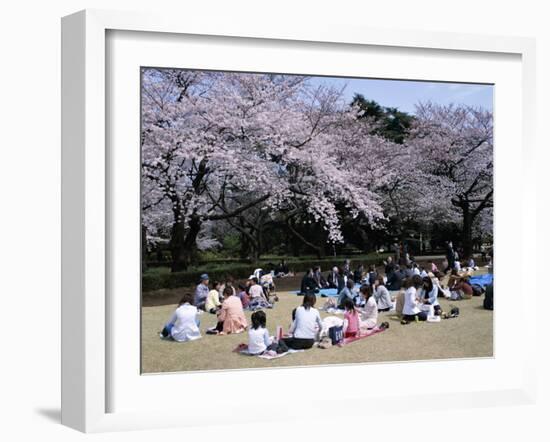 People Partying Under Cherry Blossoms, Shinjuku Park, Shinjuku, Tokyo, Honshu, Japan-null-Framed Photographic Print