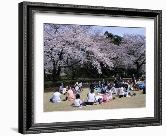 People Partying Under Cherry Blossoms, Shinjuku Park, Shinjuku, Tokyo, Honshu, Japan-null-Framed Photographic Print