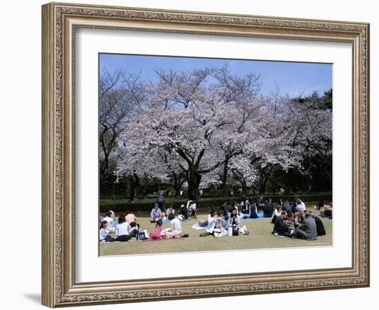 People Partying Under Cherry Blossoms, Shinjuku Park, Shinjuku, Tokyo, Honshu, Japan-null-Framed Photographic Print