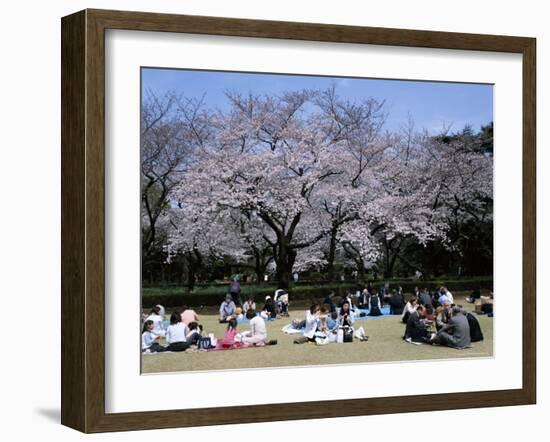 People Partying Under Cherry Blossoms, Shinjuku Park, Shinjuku, Tokyo, Honshu, Japan-null-Framed Photographic Print