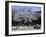 People Partying Under Cherry Blossoms, Shinjuku Park, Shinjuku, Tokyo, Honshu, Japan-null-Framed Photographic Print