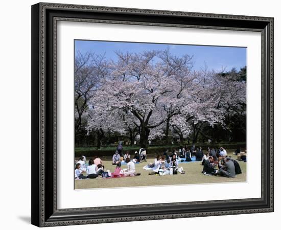 People Partying Under Cherry Blossoms, Shinjuku Park, Shinjuku, Tokyo, Honshu, Japan-null-Framed Photographic Print