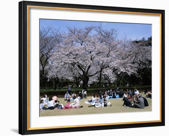 People Partying Under Cherry Blossoms, Shinjuku Park, Shinjuku, Tokyo, Honshu, Japan-null-Framed Photographic Print