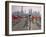 People Practicing Taiji and Pudong Skyline, Shanghai, China-Keren Su-Framed Photographic Print