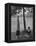 People Practicing Yoga in Central Park-null-Framed Premier Image Canvas