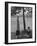People Practicing Yoga in Central Park-null-Framed Photographic Print