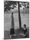 Photographic Print