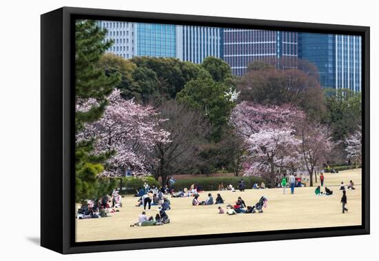 People Relaxing and Picnicking Amongst Beautiful Cherry Blossom, Tokyo Imperial Palace East Gardens-Martin Child-Framed Premier Image Canvas