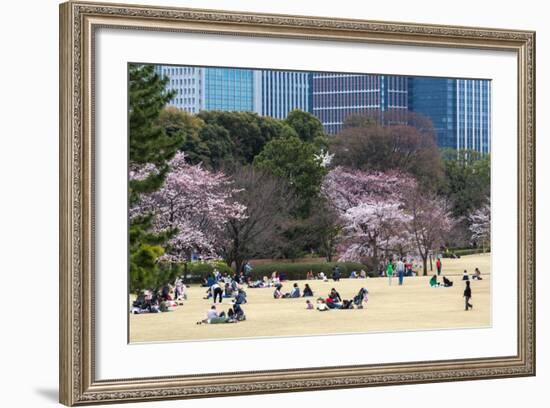 People Relaxing and Picnicking Amongst Beautiful Cherry Blossom, Tokyo Imperial Palace East Gardens-Martin Child-Framed Photographic Print