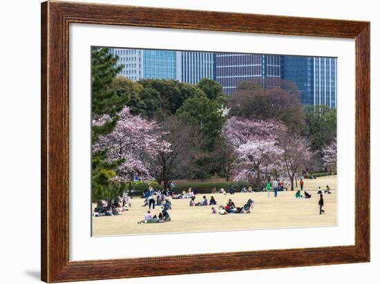 People Relaxing and Picnicking Amongst Beautiful Cherry Blossom, Tokyo Imperial Palace East Gardens-Martin Child-Framed Photographic Print