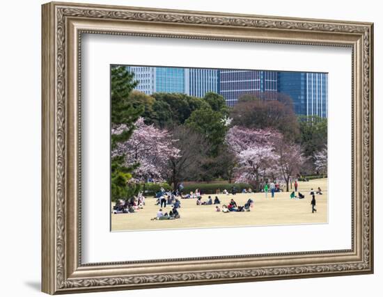 People Relaxing and Picnicking Amongst Beautiful Cherry Blossom, Tokyo Imperial Palace East Gardens-Martin Child-Framed Photographic Print