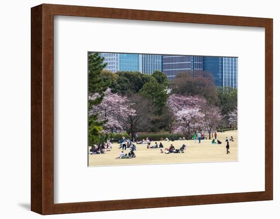 People Relaxing and Picnicking Amongst Beautiful Cherry Blossom, Tokyo Imperial Palace East Gardens-Martin Child-Framed Photographic Print