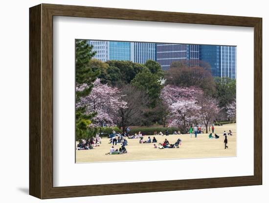 People Relaxing and Picnicking Amongst Beautiful Cherry Blossom, Tokyo Imperial Palace East Gardens-Martin Child-Framed Photographic Print