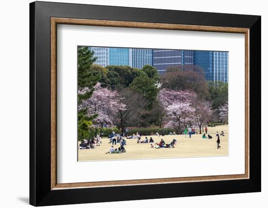 People Relaxing and Picnicking Amongst Beautiful Cherry Blossom, Tokyo Imperial Palace East Gardens-Martin Child-Framed Photographic Print