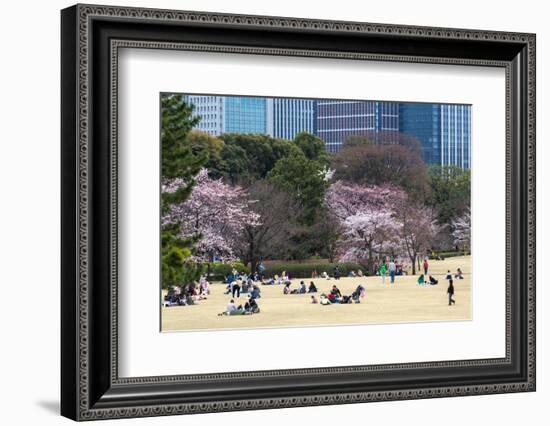 People Relaxing and Picnicking Amongst Beautiful Cherry Blossom, Tokyo Imperial Palace East Gardens-Martin Child-Framed Photographic Print