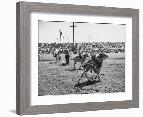 People Riding Zebras During the Ostrich Racing, Grange County Fair-Loomis Dean-Framed Photographic Print