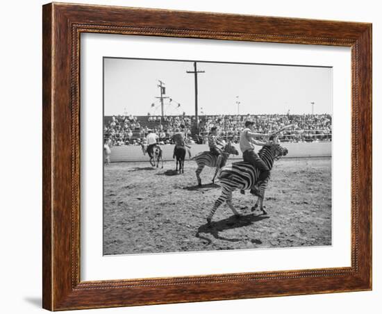 People Riding Zebras During the Ostrich Racing, Grange County Fair-Loomis Dean-Framed Photographic Print