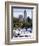 People Skating in Central Park, Manhattan, New York City, New York, USA-Peter Scholey-Framed Photographic Print
