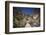 People Trekking over Colca River Bridge, Colca Canyon, Peru, South America-Matthew Williams-Ellis-Framed Photographic Print