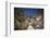 People Trekking over Colca River Bridge, Colca Canyon, Peru, South America-Matthew Williams-Ellis-Framed Photographic Print