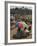 People Walk for Days to Trade in This Famous Weekly Market, Ethiopia-Gavin Hellier-Framed Photographic Print