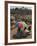 People Walk for Days to Trade in This Famous Weekly Market, Ethiopia-Gavin Hellier-Framed Photographic Print