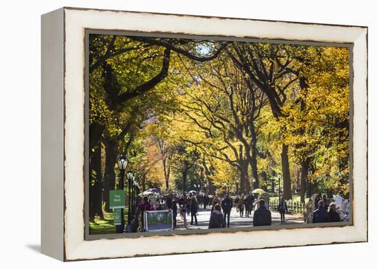 People walking in a park, Central Park Mall, Central Park, Manhattan, New York City, New York St...-Panoramic Images-Framed Premier Image Canvas