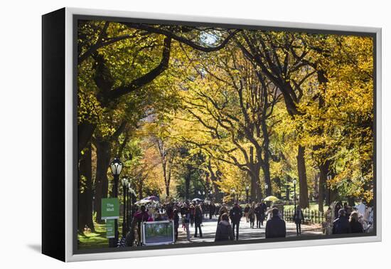 People walking in a park, Central Park Mall, Central Park, Manhattan, New York City, New York St...-Panoramic Images-Framed Premier Image Canvas