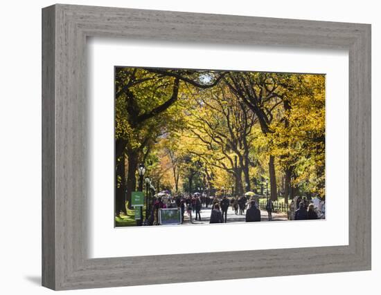 People walking in a park, Central Park Mall, Central Park, Manhattan, New York City, New York St...-Panoramic Images-Framed Photographic Print