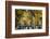 People walking in a park, Central Park Mall, Central Park, Manhattan, New York City, New York St...-Panoramic Images-Framed Photographic Print