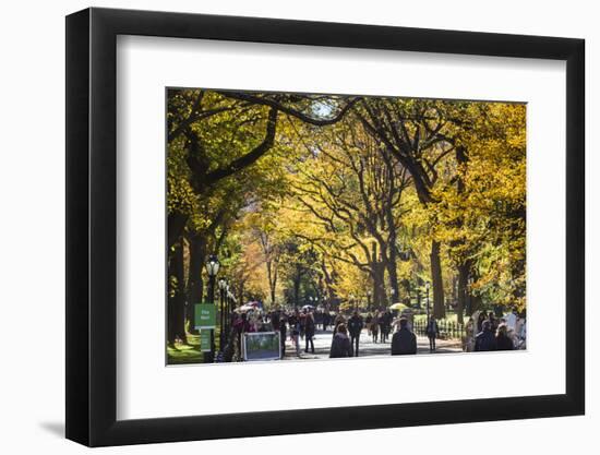 People walking in a park, Central Park Mall, Central Park, Manhattan, New York City, New York St...-Panoramic Images-Framed Photographic Print