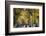 People walking in a park, Central Park Mall, Central Park, Manhattan, New York City, New York St...-Panoramic Images-Framed Photographic Print