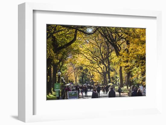 People walking in a park, Central Park Mall, Central Park, Manhattan, New York City, New York St...-Panoramic Images-Framed Photographic Print