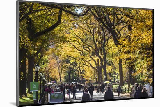 People walking in a park, Central Park Mall, Central Park, Manhattan, New York City, New York St...-Panoramic Images-Mounted Photographic Print