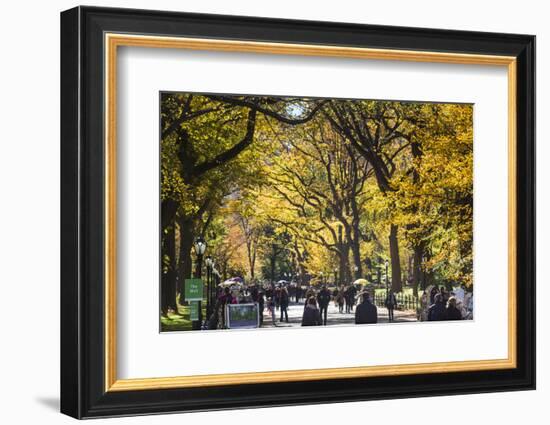 People walking in a park, Central Park Mall, Central Park, Manhattan, New York City, New York St...-Panoramic Images-Framed Photographic Print
