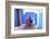 People Walking in Oudaia Kasbah, Rabat, Morocco, North Africa-Neil Farrin-Framed Photographic Print