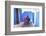 People Walking in Oudaia Kasbah, Rabat, Morocco, North Africa-Neil Farrin-Framed Photographic Print