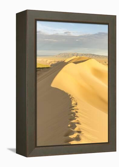 People walking on Khongor sand dunes in Gobi Gurvan Saikhan National Park, Sevrei district, South G-Francesco Vaninetti-Framed Premier Image Canvas