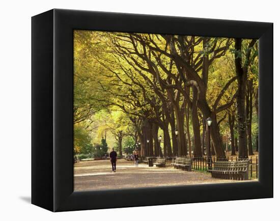 People Walking Through Central Park in Autumn, NYC-Walter Bibikow-Framed Premier Image Canvas