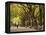 People Walking Through Central Park in Autumn, NYC-Walter Bibikow-Framed Premier Image Canvas